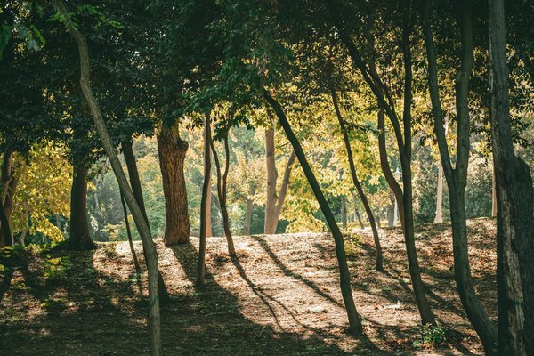 Découvrir comment la pleine conscience peut soulager les symptômes du tdah chez les enfants : une approche innovante et efficace.
